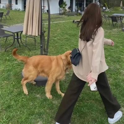 蝴蝶夫人的现代家庭